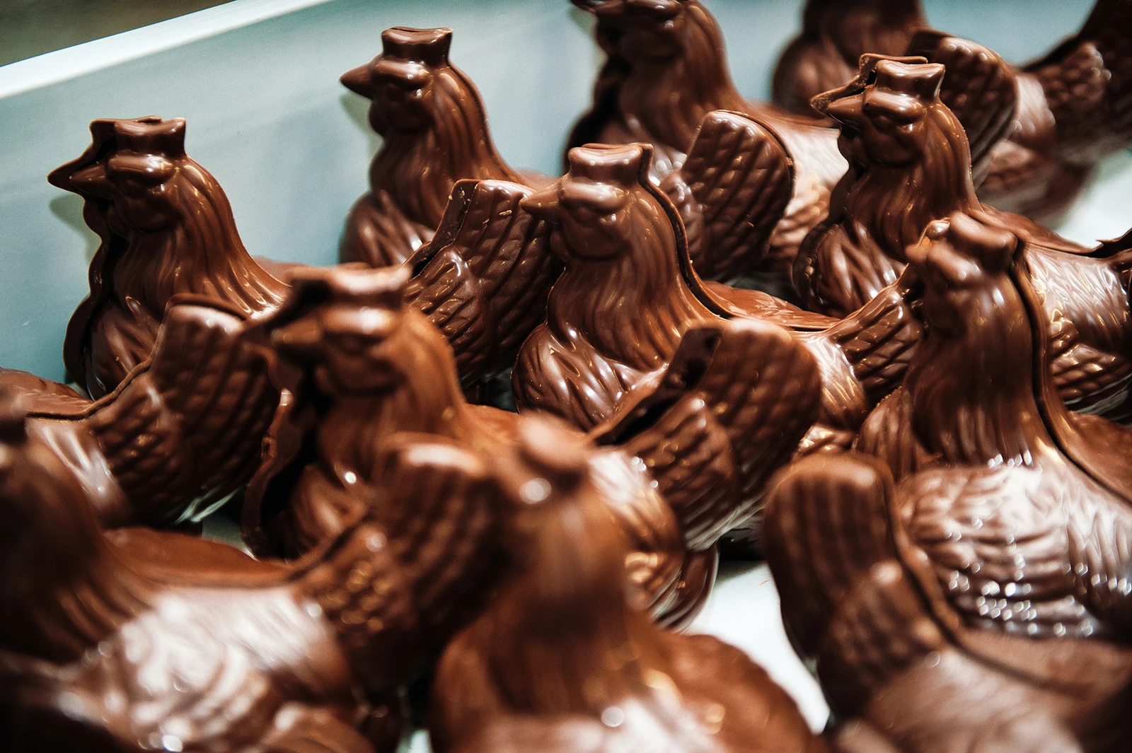 Maison Bernachon, chocolatier lyonnais, reportage savoir-faire par Miloud Bouhidel