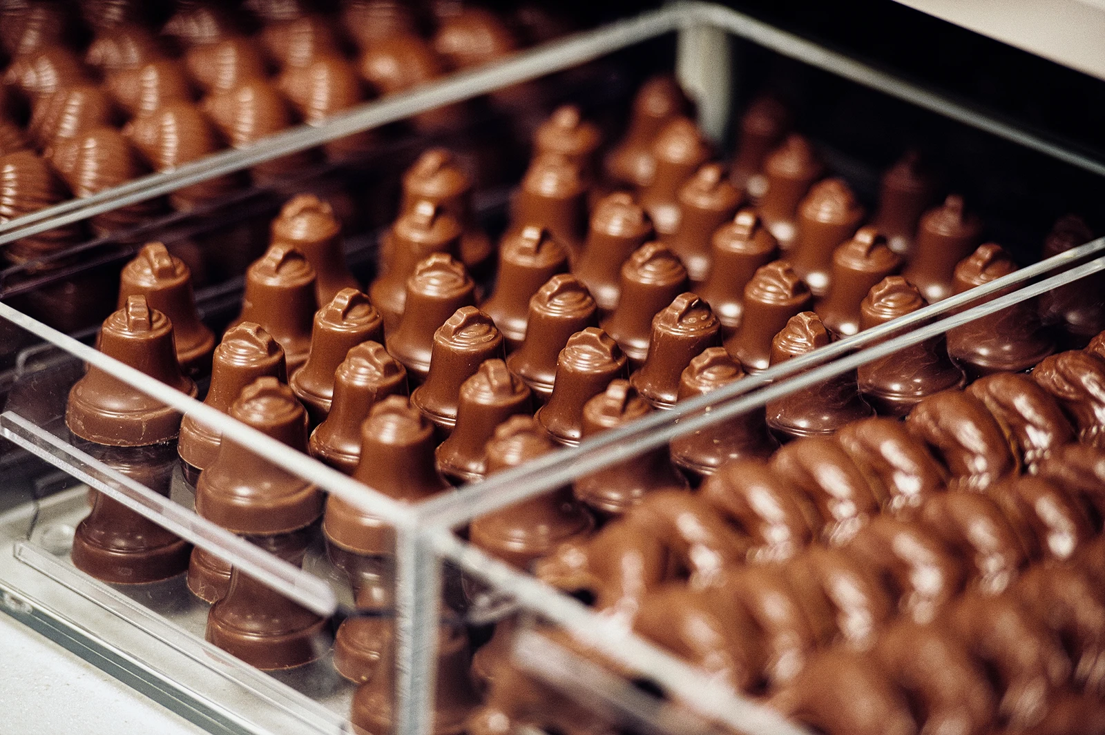 Maison Bernachon, chocolatier lyonnais, reportage savoir-faire par Miloud Bouhidel